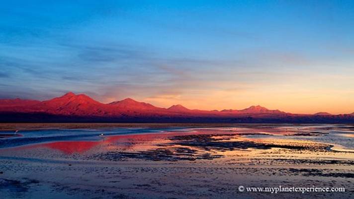 Laguna de Chaxa at sunset - Salar de Atacama, Chile