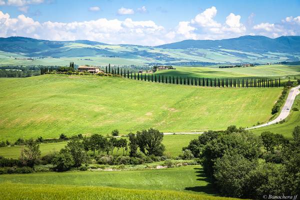 Val d'Orcia-026