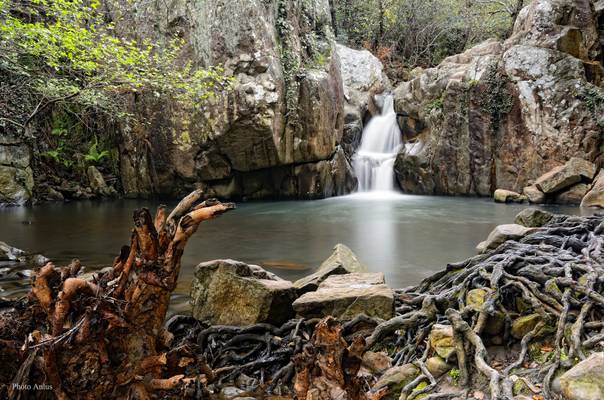 raices y cascadas.