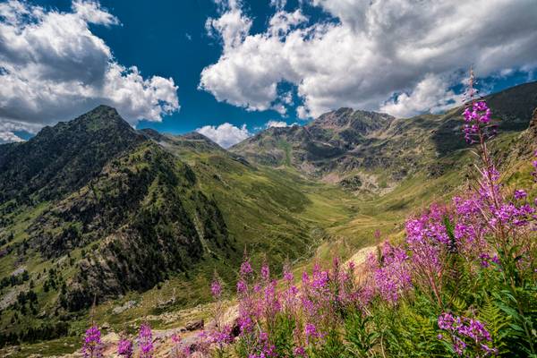 Sorteny Valley, Pyrenees