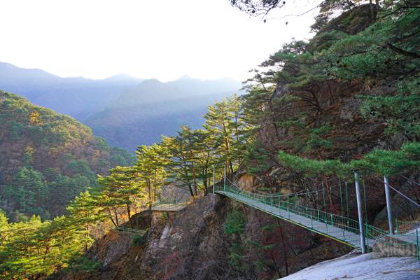 Footbridge in Myohyang mountains, DPRK