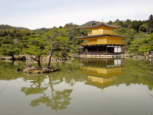 Kinkaku-ji, Temple of the Golden Pavilion, Kyoto, Japan - 金閣寺, 京都市, 日本