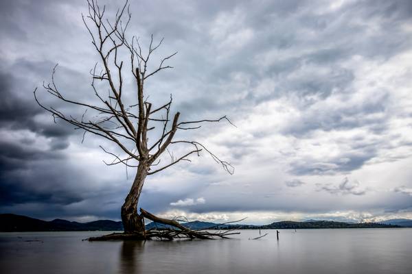 The last rain (Trasimeno)