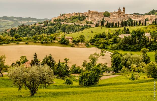 Italy - Urbino