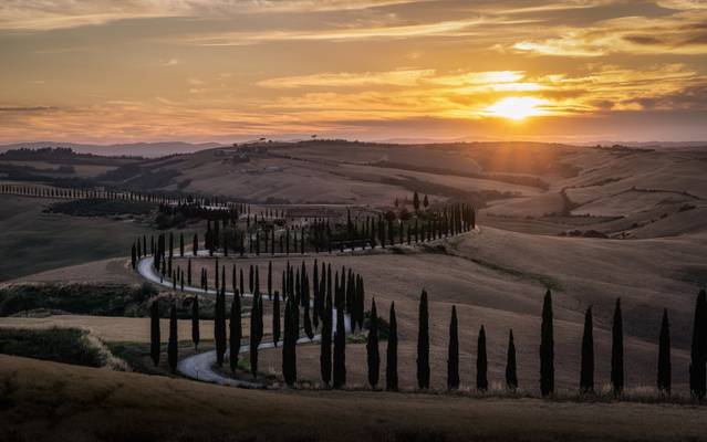 Tuscan Sunset