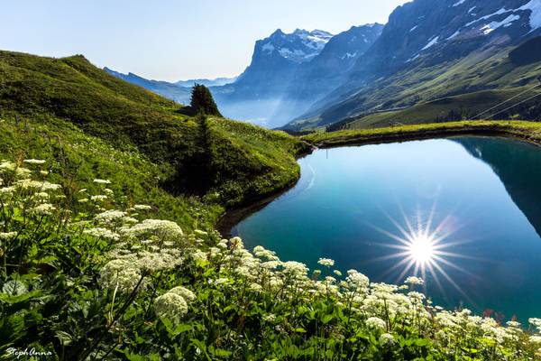 Lake reflection