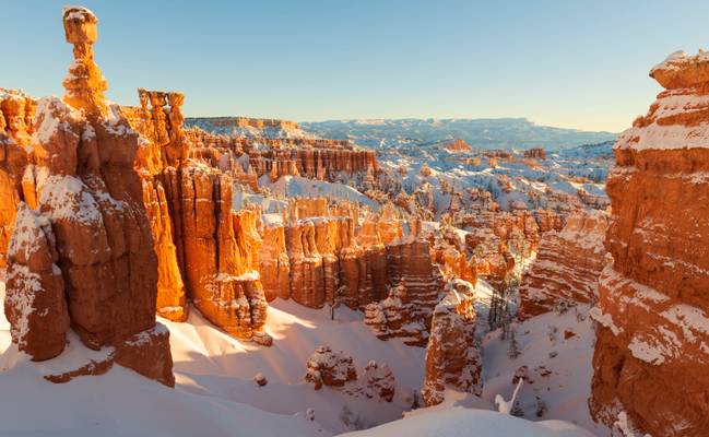 Take care of all your memories. For you cannot relive them…