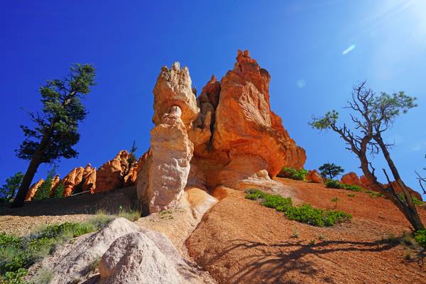 Picturesque rocks along Navajo Loop Trail, Bryce Canyon