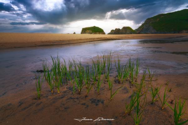 Praia de Area Grande | O Vicedo | Lugo | 2018