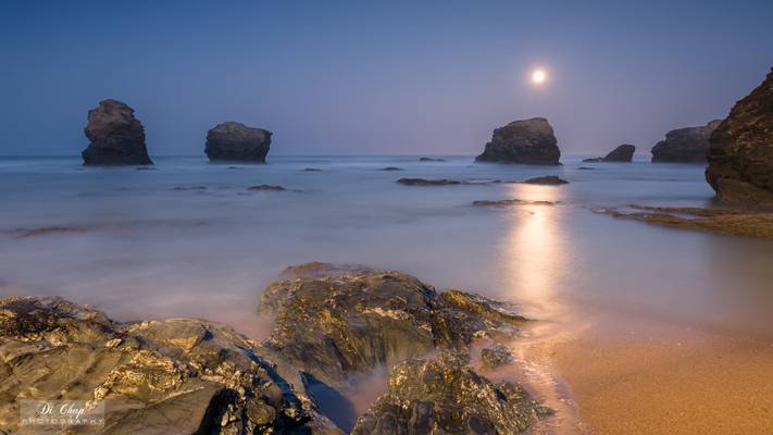 Lune des neiges