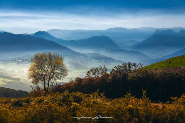 Ampuero | Cantabria | 2020