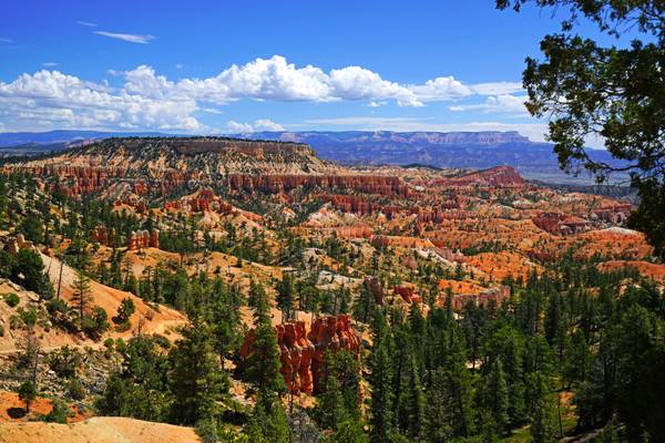 Bryce Canyon panorama from Sunrise Point, USA