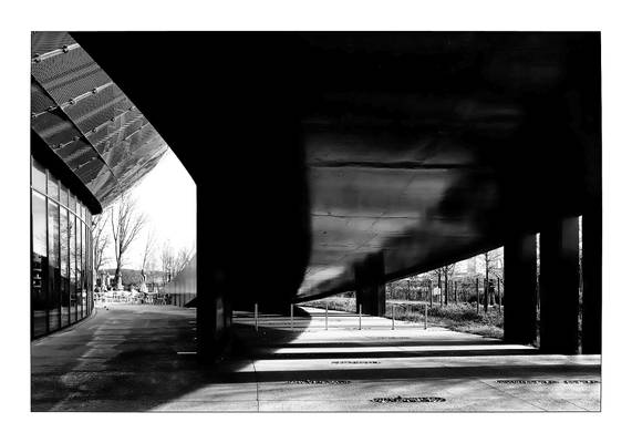 Under the bridge