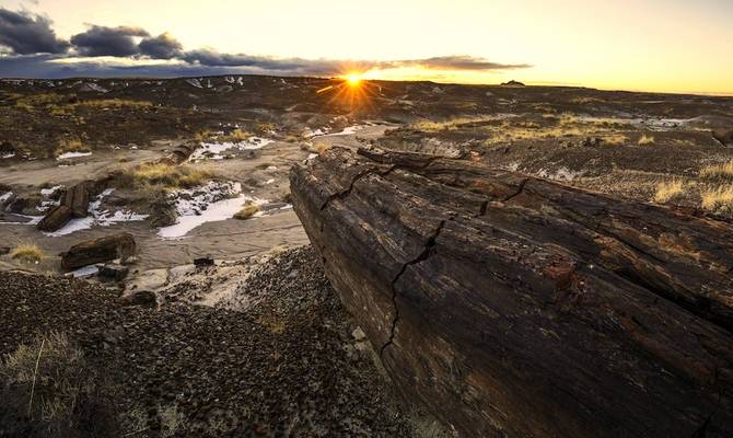 Log Crack- Petrified Forest National Park