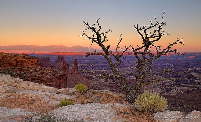 Canyonlands sunset