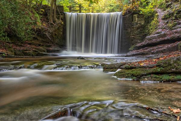 Nant Mill Woods