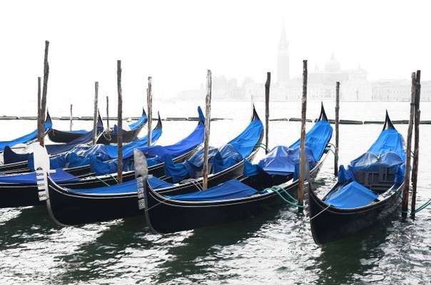 Venice in the fog