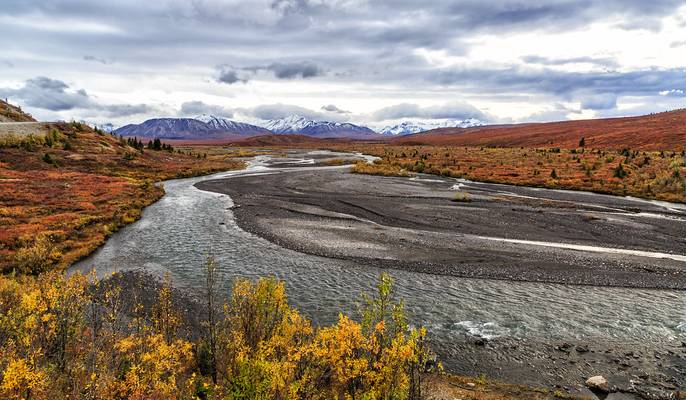 Savage River, Denali National Park