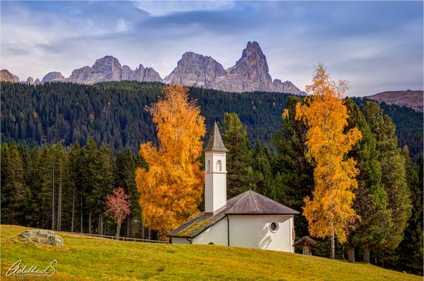 Panaveggio, Dolomites, Italy