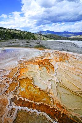 On the top of Mammoth Hot Springs, Yellowstone NP, USA