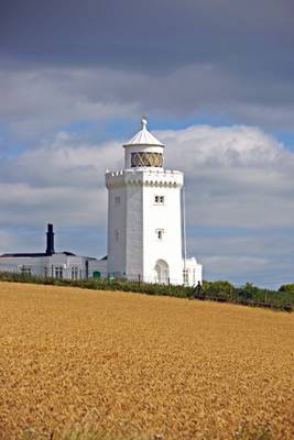 South Foreland lighthouse & wheat field