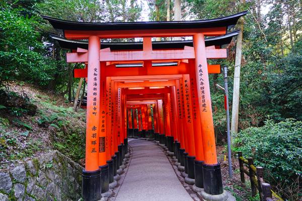 Magical red torii among the forest, Fushimi Inari, Kyoto