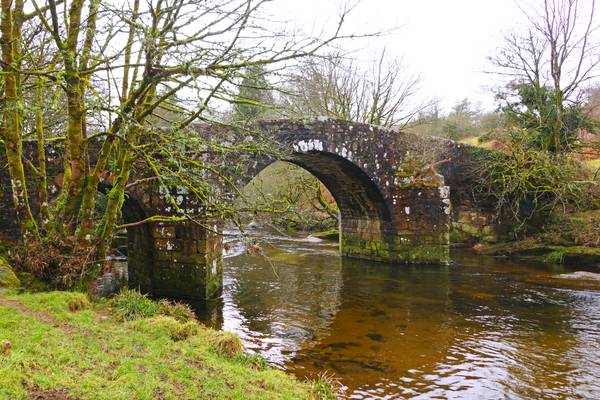 West Dart river, Dartmoor