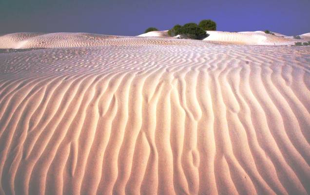 The white sand dunes of West Australia
