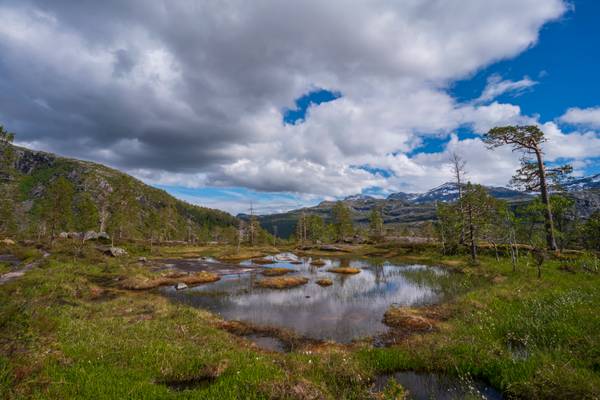 Rago National Park, Norway