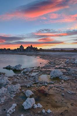 We must all obey the great law of change. It is the most powerful law of nature…