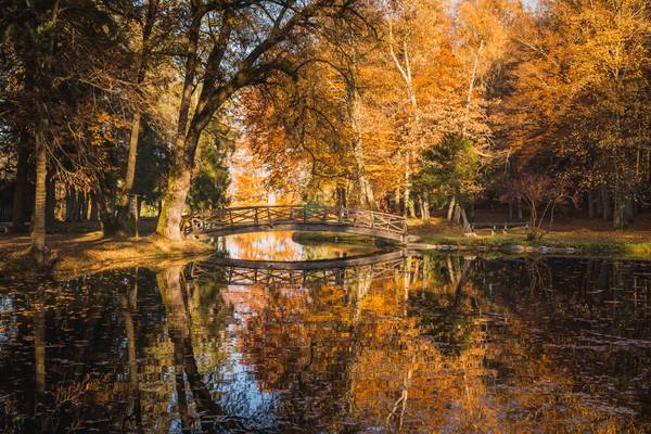 Autumn Colours