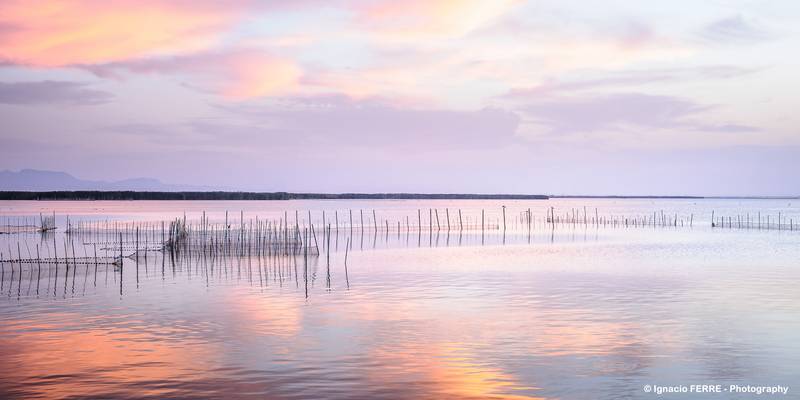 Redes de pesca en La Albufera (Fishing nets in l'Albufera)