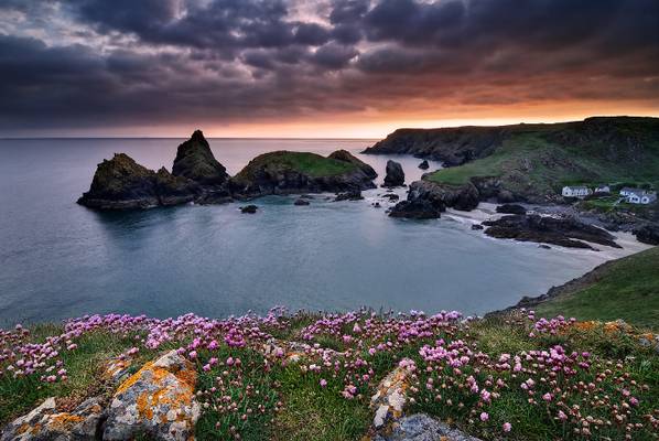 Cornwall - Kynance Cove