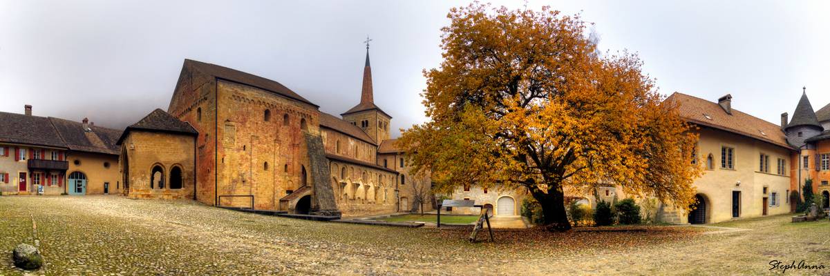 Abbatiale de Romainmôtier