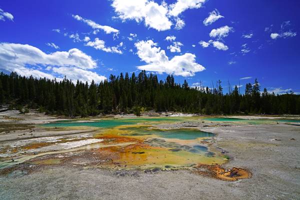 Yellow & orange & green & ..., Yellowstone NP, USA