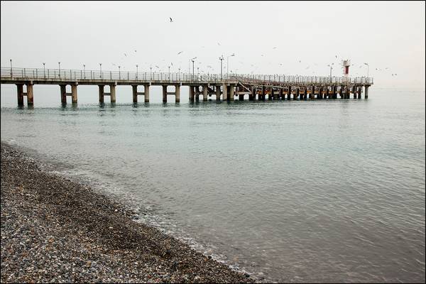 Dagomys pier in  February