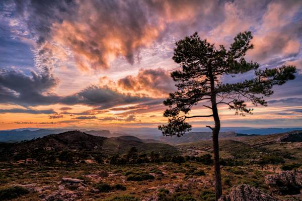 Llaberia Natural Reserve, CAT, ES