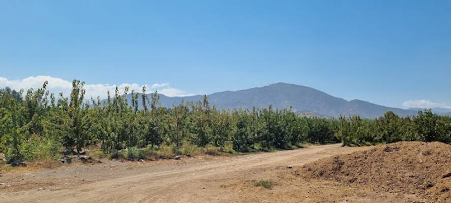 Machalí · Machali, O'Higgins, Chile