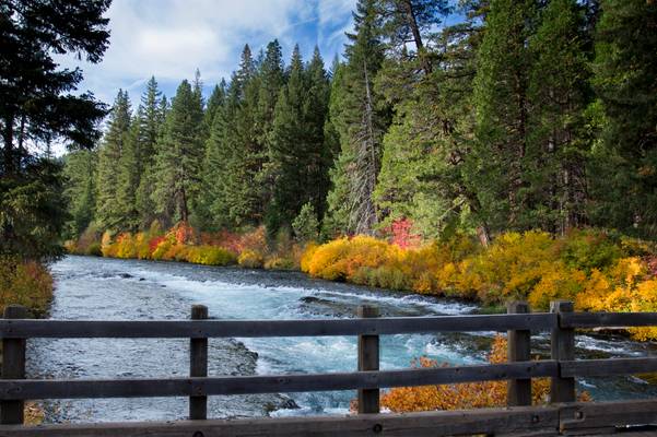 Fall color at Bridge over Metolius River, Oregon