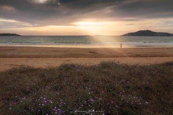 Nigrán | Pontevedra | Galicia | 2019