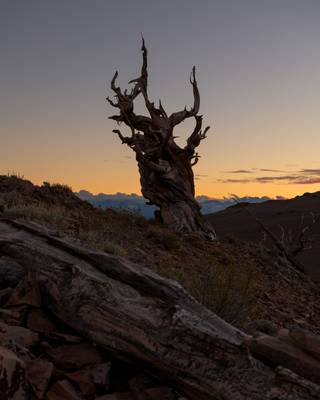 But I think everything is perfect in its moment; you just want to capture that…