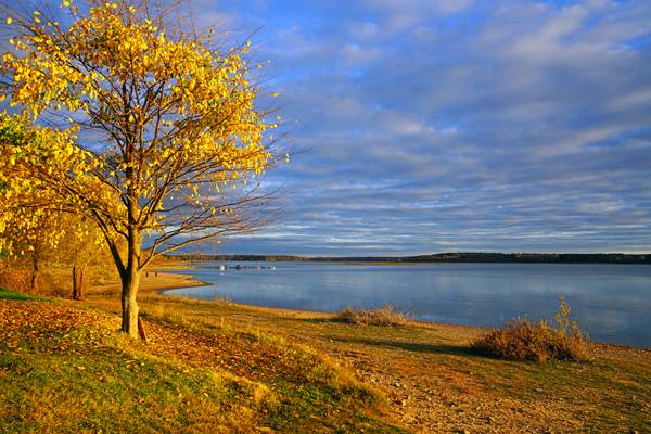 Golden autumn at Mozhaysk Sea, Russia