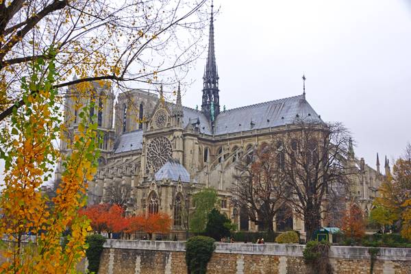 Notre Dame in autumn colours