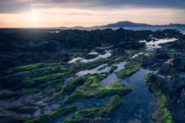 Nigrán | Pontevedra | Galicia | 2019