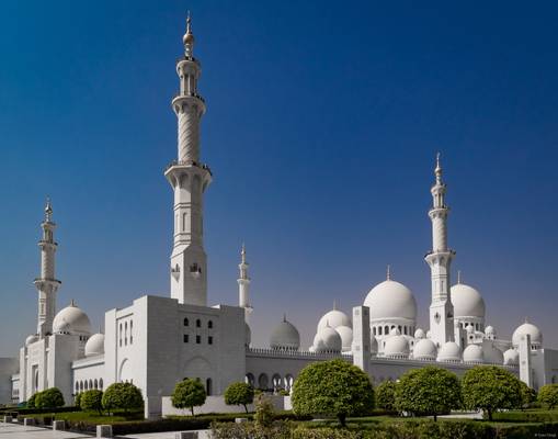 Scheich Zayid Moschee [Abu Dhabi]