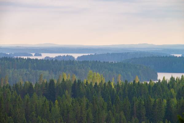 View from Niittylahti Tower