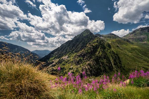 Sorteny Valley, Pyrenees