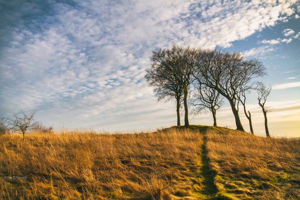 Seven Sisters ,Copt Hill .