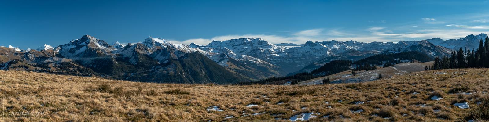 Panorama sur les Alpes bernoises