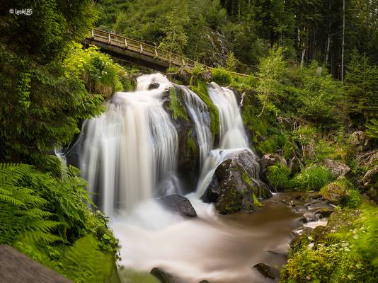 Triberg Waterfalls